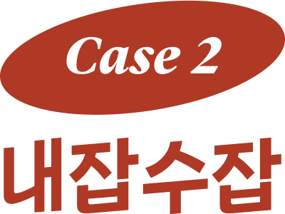 case 2 내잡수잡 이미지